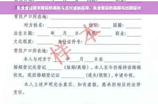 失业金证明书背后的真相与应对策略探寻，失业背后的真相与出路探讨