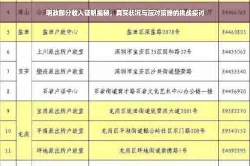 明政部分收入证明揭秘，真实状况与应对策略的挑战探讨