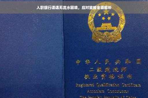 入职银行遭遇无流水困境，应对策略全面解析