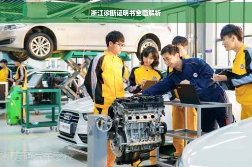 浙江诊断证明书全面解析