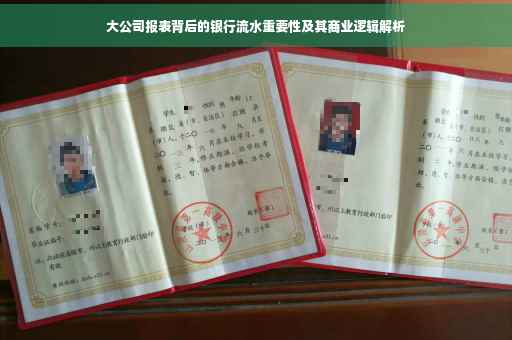 大公司报表背后的银行流水重要性及其商业逻辑解析