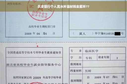 农业银行个人流水所需材料全解析??