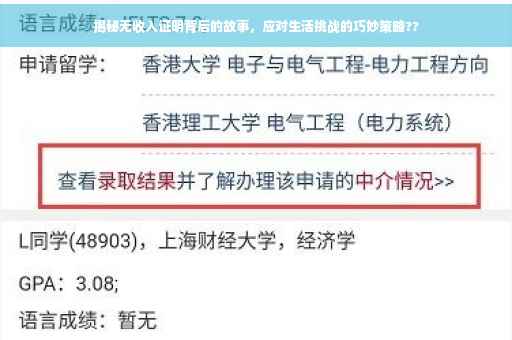 揭秘无收入证明背后的故事，应对生活挑战的巧妙策略??