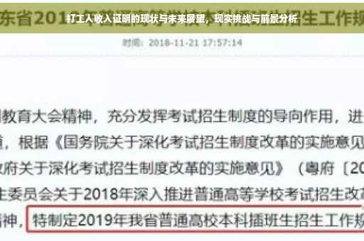 打工人收入证明的现状与未来展望，现实挑战与前景分析