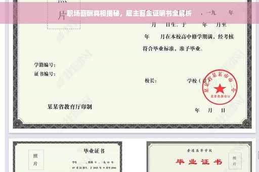 职场薪酬真相揭秘,雇主薪金证明书全解析 职场薪酬真相揭秘,雇主薪金证明书全解析