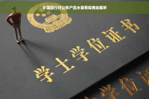 中国银行对公账户流水查看指南全解析