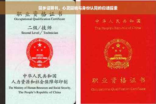 回乡证明书，心灵回响与身份认同的归途探索