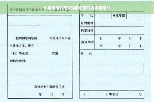 收费证明书范文详解与撰写要点指南??