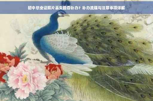 初中毕业证照片丢失能否补办？补办流程与注意事项详解