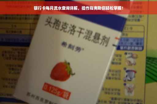 银行卡每月流水查询详解，操作指南助你轻松掌握！