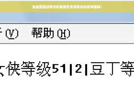 盐城医院证明书的重要性及其背后的故事揭秘！