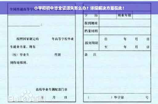 小学和初中毕业证遗失怎么办？详细解决方案在此！