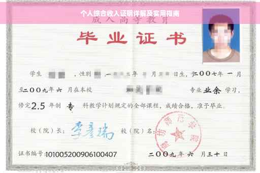 个人综合收入证明详解及实用指南