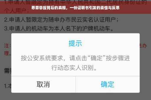 恶意举报背后的真相，一份证明书引发的震惊与反思