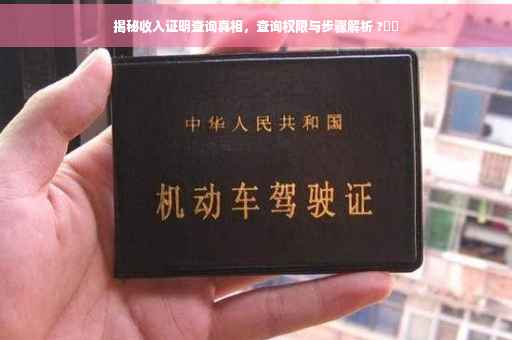 揭秘收入证明查询真相，查询权限与步骤解析 ?⚡️