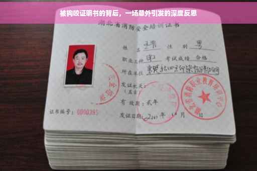 被狗咬证明书的背后，一场意外引发的深度反思