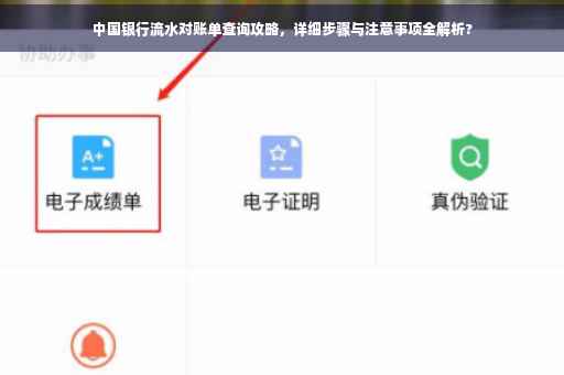 中国银行流水对账单查询攻略，详细步骤与注意事项全解析?