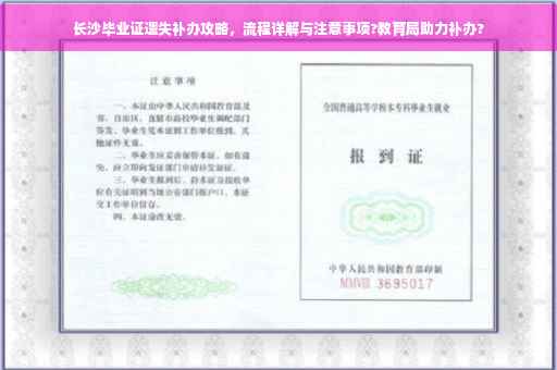 长沙毕业证遗失补办攻略，流程详解与注意事项?教育局助力补办?