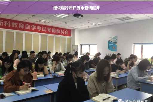 建设银行账户流水查询服务