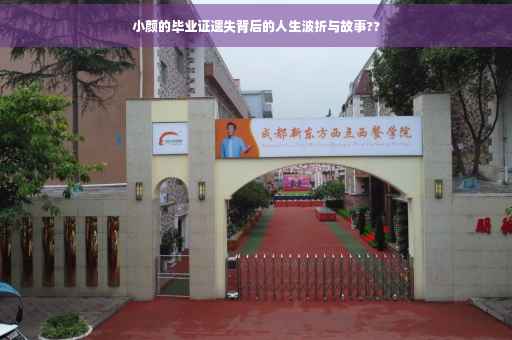 小颜的毕业证遗失背后的人生波折与故事??