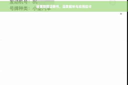油墨期限证明书，深度解析与应用探讨