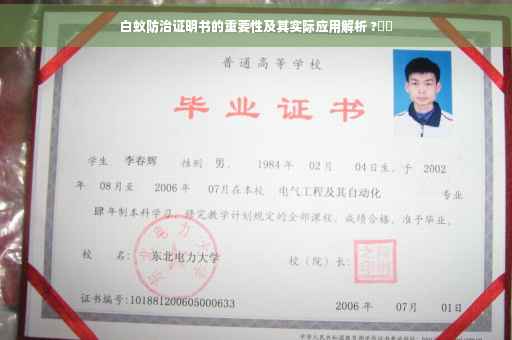 白蚁防治证明书的重要性及其实际应用解析 ?⚡️