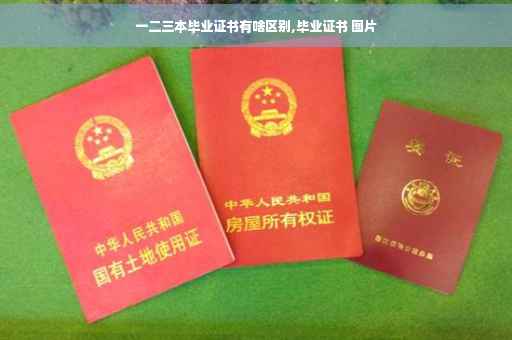 一二三本毕业证书有啥区别,毕业证书 图片