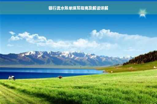 银行流水账单填写指南及解读详解