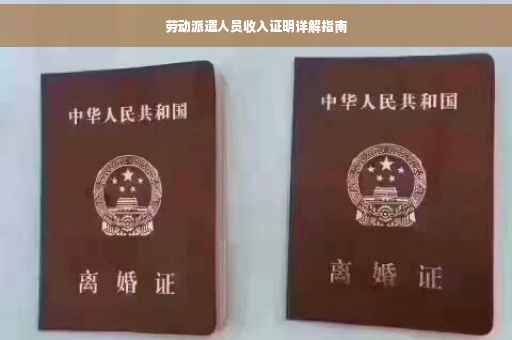 劳动派遣人员收入证明详解指南