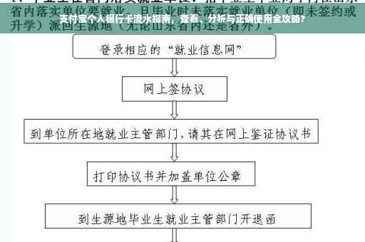 支付宝个人银行卡流水指南，查看、分析与正确使用全攻略?