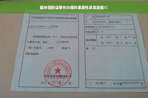 解析保险证明书办理的重要性及其流程?✨