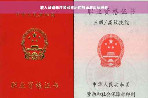 收入证明未注金额背后的故事与深层思考
