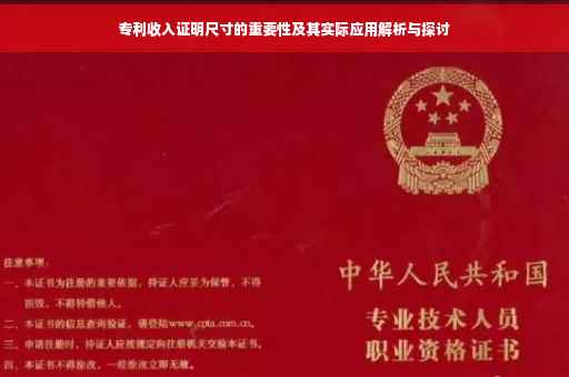 专利收入证明尺寸的重要性及其实际应用解析与探讨