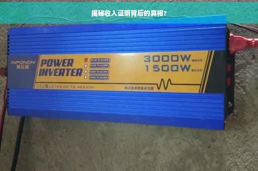 揭秘收入证明背后的真相?