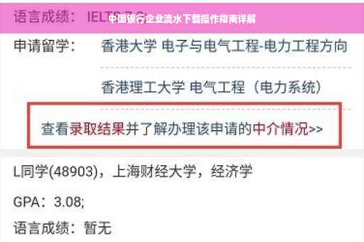 中国银行企业流水下载操作指南详解