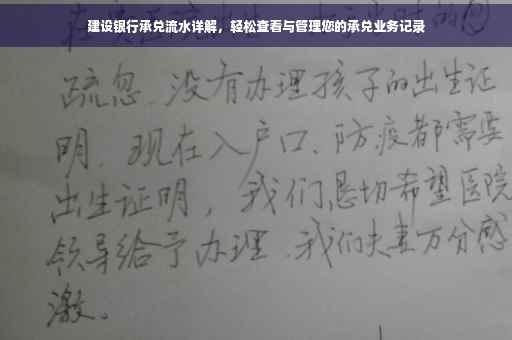 建设银行承兑流水详解，轻松查看与管理您的承兑业务记录