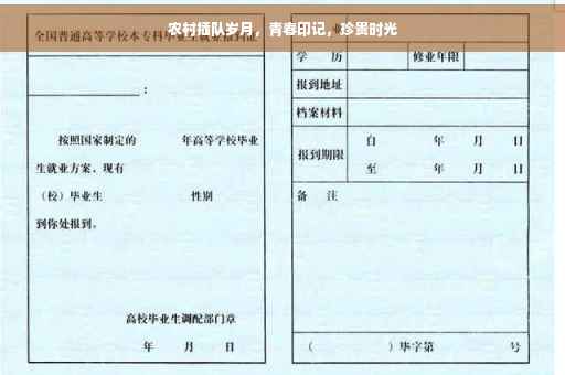 农村插队岁月，青春印记，珍贵时光