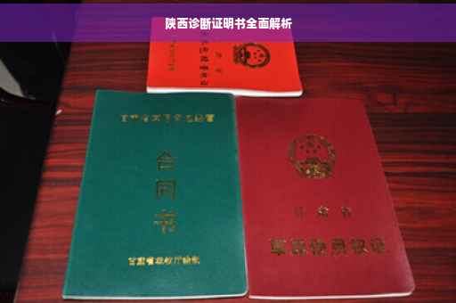 陕西诊断证明书全面解析