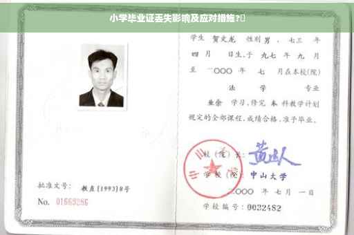 小学毕业证丢失影响及应对措施?✨