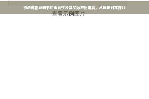 检验试剂证明书的重要性及其实际应用详解，从理论到实践??