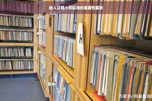 收入证明小写标准的重要性解析