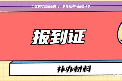 小颜的毕业证丢失记，紧急应对与经验分享