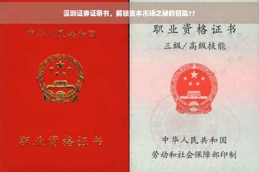 深圳证券证明书，解锁资本市场之秘的钥匙??