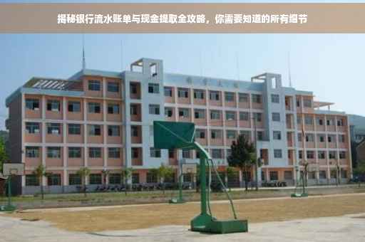 揭秘银行流水账单与现金提取全攻略，你需要知道的所有细节