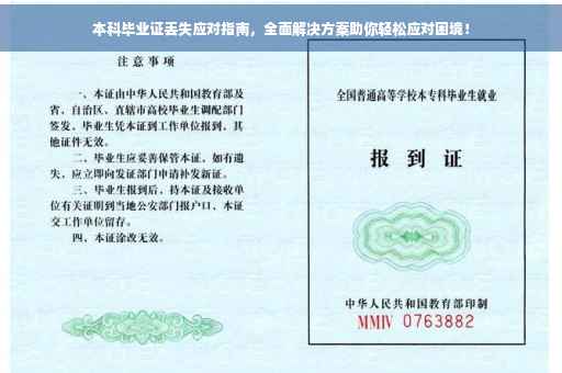 本科毕业证丢失应对指南，全面解决方案助你轻松应对困境！
