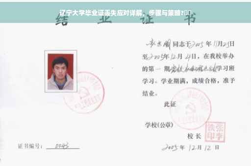 辽宁大学毕业证丢失应对详解，步骤与策略?⚡️