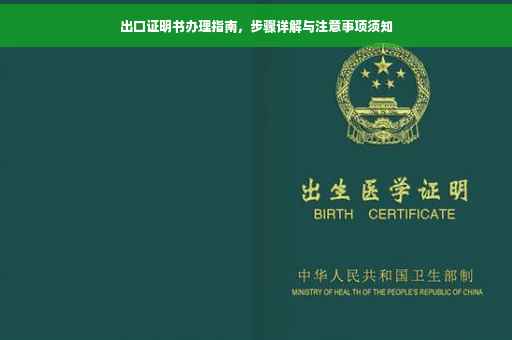 出口证明书办理指南，步骤详解与注意事项须知
