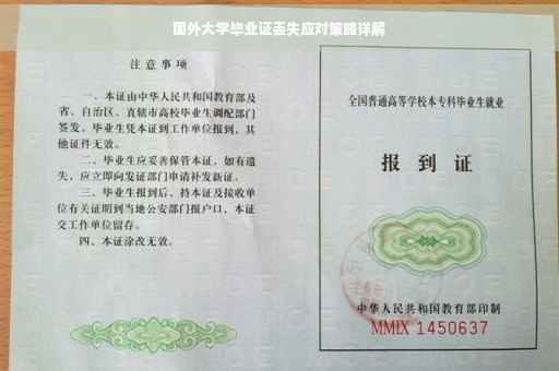 国外大学毕业证丢失应对策略详解