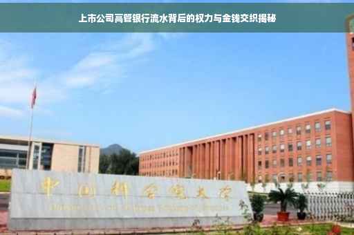 上市公司高管银行流水背后的权力与金钱交织揭秘