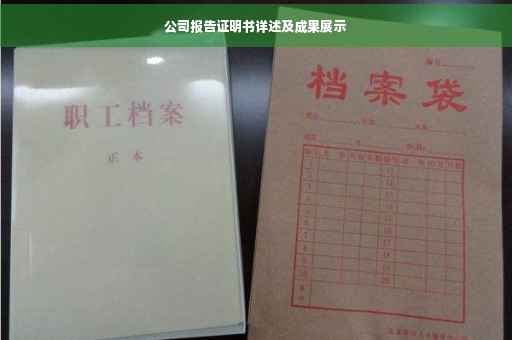 公司报告证明书详述及成果展示